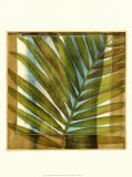Buy Seaside Palms II at AllPosters.com
