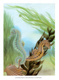 Buy Seahorse Serenade IV at AllPosters.com