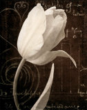 Buy Garden Architecture I at AllPosters.com