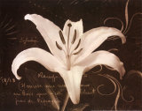 Buy Garden Journal III at AllPosters.com