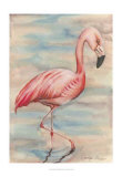 Pink Flamingo I