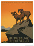 Buy National Parks at AllPosters.com