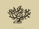 Buy Coral on Khaki III at AllPosters.com
