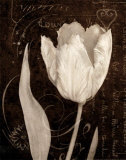 Buy Garden Architecture II at AllPosters.com