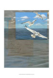 Buy Three White Gulls III at AllPosters.com