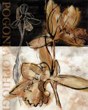 Buy Blooming Orchid II at AllPosters.com