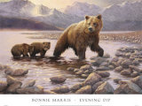 Buy Evening Dip at AllPosters.com