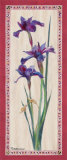 Buy Iris Panel II at AllPosters.com