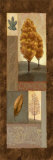Buy Mandarin Elements I at AllPosters.com