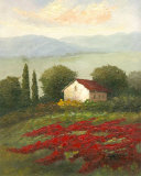 Buy Misty Morning I at AllPosters.com