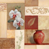 Buy Mandarin Collage II at AllPosters.com