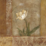 Buy Morning Foral II at AllPosters.com