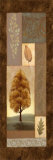 Buy Mandarin Elements II at AllPosters.com