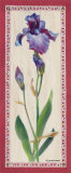 Buy Iris Panel I at AllPosters.com