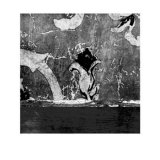 Buy Flora II at AllPosters.com
