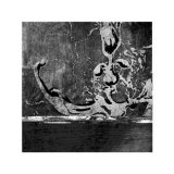 Buy Flora I at AllPosters.com