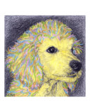 Buy Sunny Boy at AllPosters.com