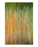 Buy Paint Brush at AllPosters.com