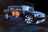 Bad To The Bone