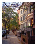 Trees and Brownstones Grow in Brooklyn Photographic Print