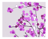 Buy Violet Cherry Blossoms at AllPosters.com