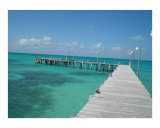Dock