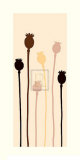 Buy Amapola I at AllPosters.com