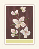 Buy Clematis I at AllPosters.com