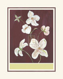 Buy Clematis II at AllPosters.com