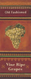 Vine Ripe Grapes Art Print