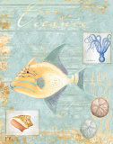 Oceanic
