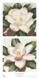 Buy Southern Belles at AllPosters.com