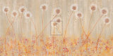 Buy Allium Panel II at AllPosters.com