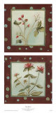Buy Very Berry! at AllPosters.com