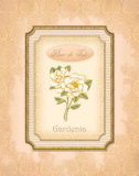 Buy Eau de Parfum IV at AllPosters.com