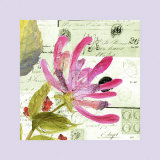 Buy Honeysuckle Script at AllPosters.com