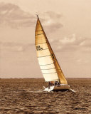 Buy Weekend Sail II at AllPosters.com