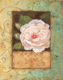 Buy Antique Rose II at AllPosters.com