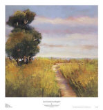 Low Country Landscape I