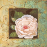Buy Antique Rose IV at AllPosters.com