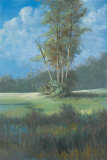 Azure Sky II