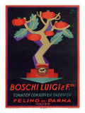 Buy Italian Boschi Luigi Tomato Sauce Poster at AllPosters.com