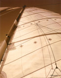 Windward Sail I