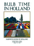 Buy Bulb Time in Holland, Collecting the Blooms at AllPosters.com