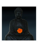 Buy Flower Buddha at AllPosters.com