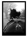Buy Cantering at AllPosters.com