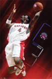 Toronto Raptors- Bosh