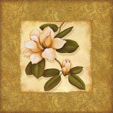 Gold Magnolia II