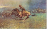 Buy Stampede at AllPosters.com