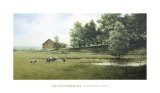 Country Lane